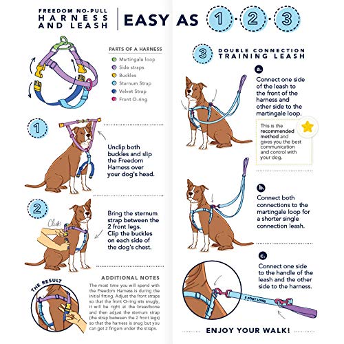 Freedom Harness Double Connection Leash Instruction