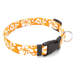 Personalized Island Floral Orange Dog Collar