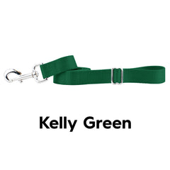 Kelly Green Nylon Dog Leash