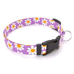 Personalized Lavender Daisy Dog Collar