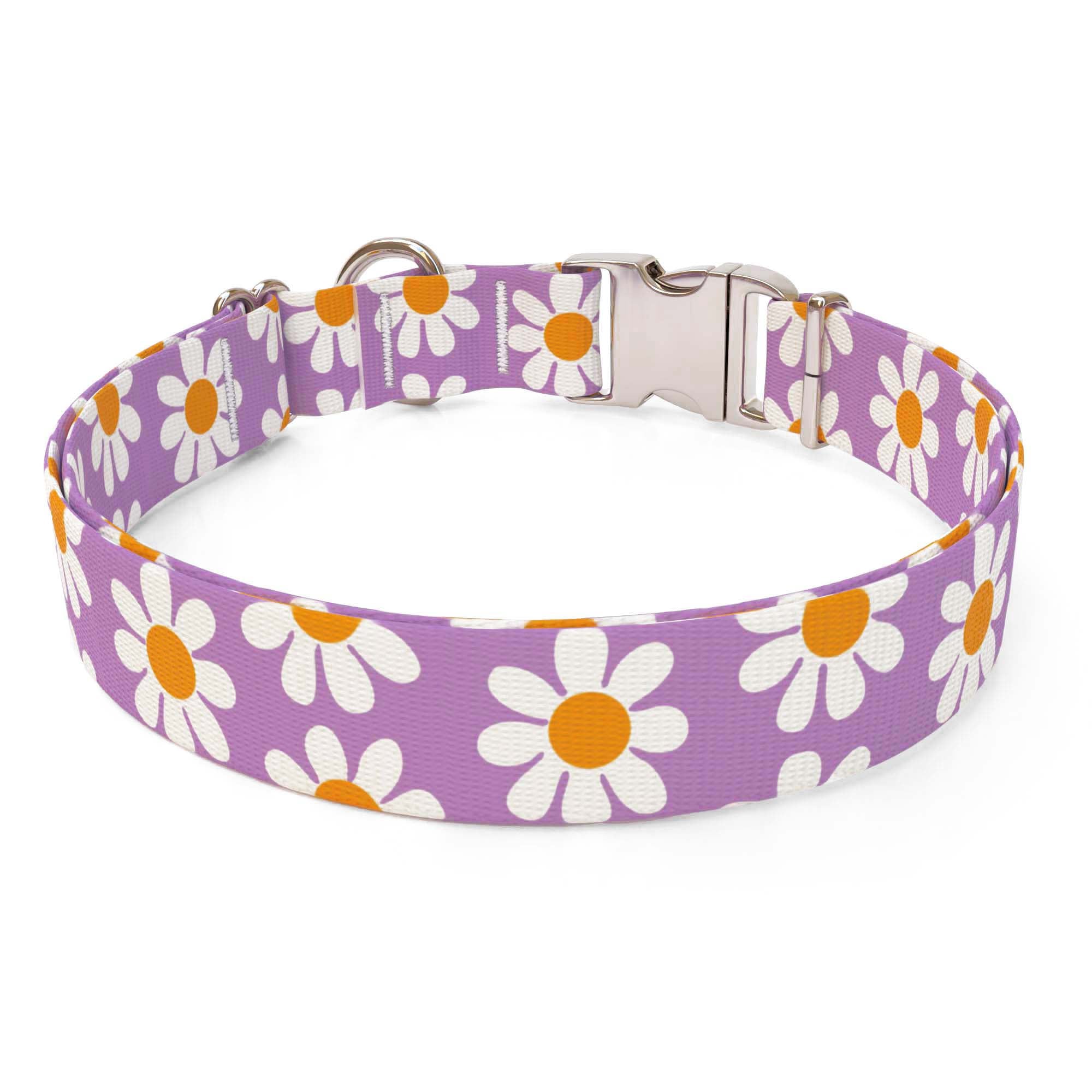 Lavender Daisy Dog Collar