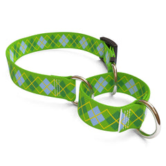 Argyle Lime Martingale Dog Collar