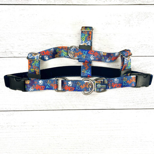 Colorful "Love" graffiti-style dog leash on blue freedom no-pull dog harness with velvet-lined straps and secure metal rings - EarthStyle