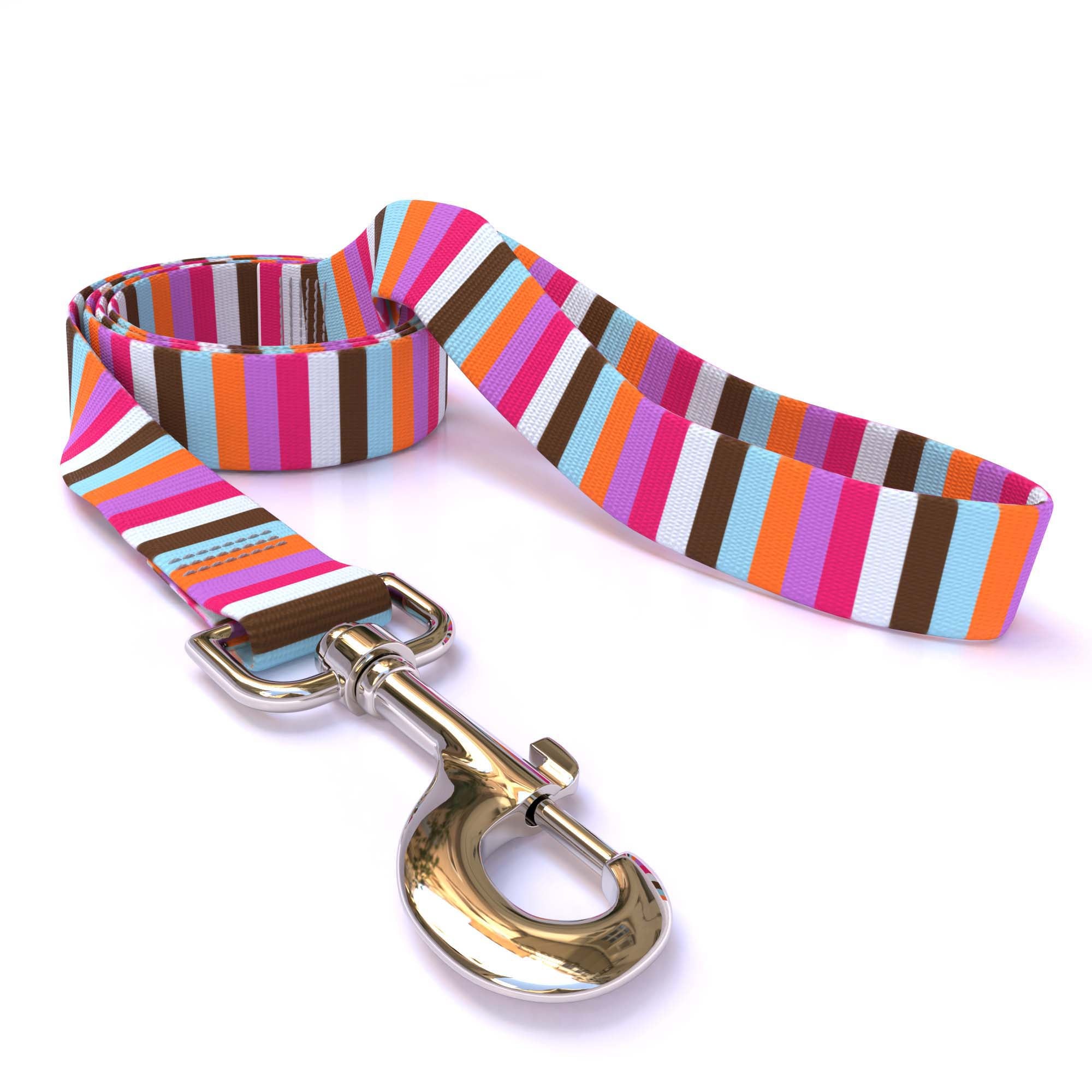 Multi-Stripe Dog Leash