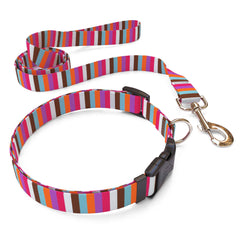 Multi-Stripe Dog Collar