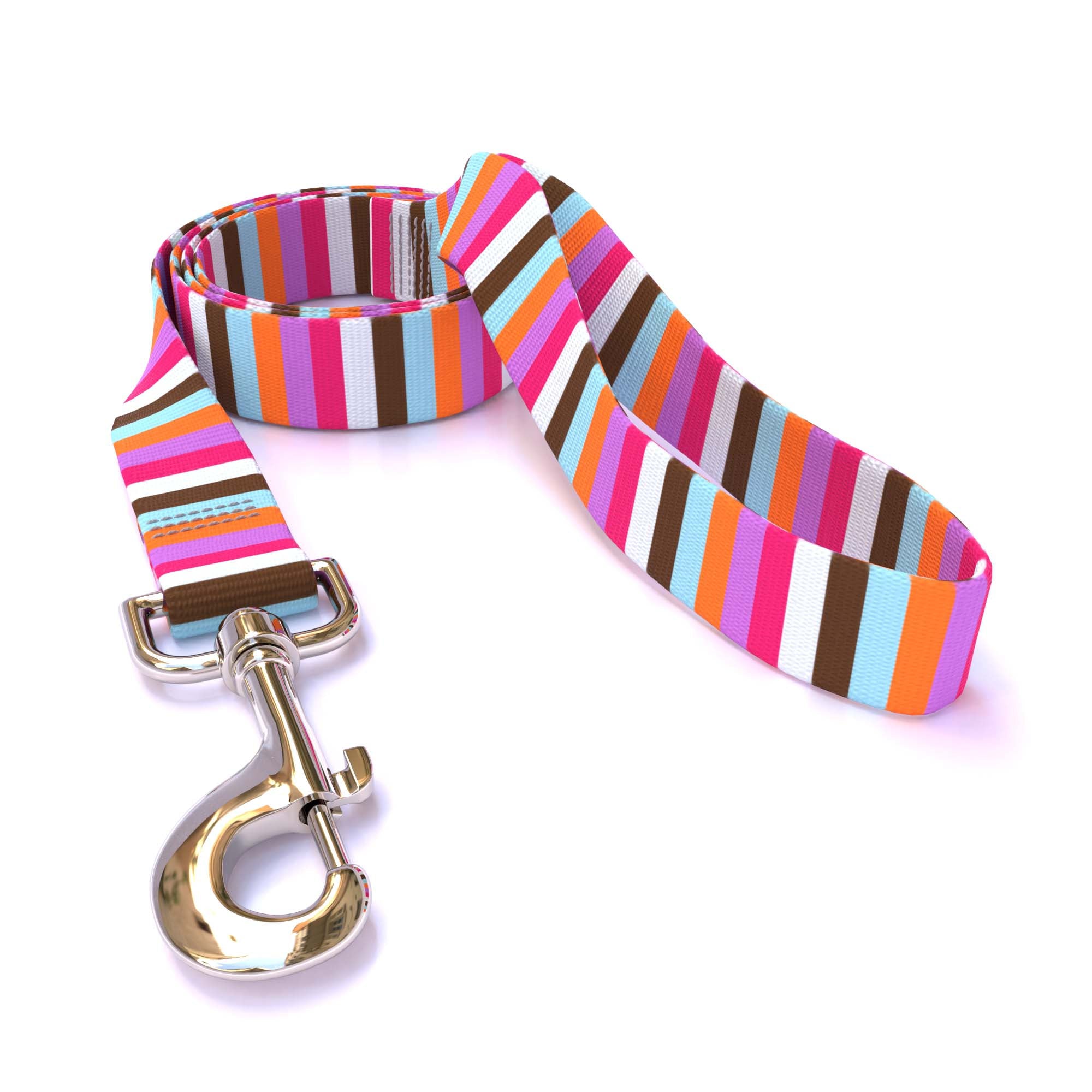 Multi-Stripe Dog Leash