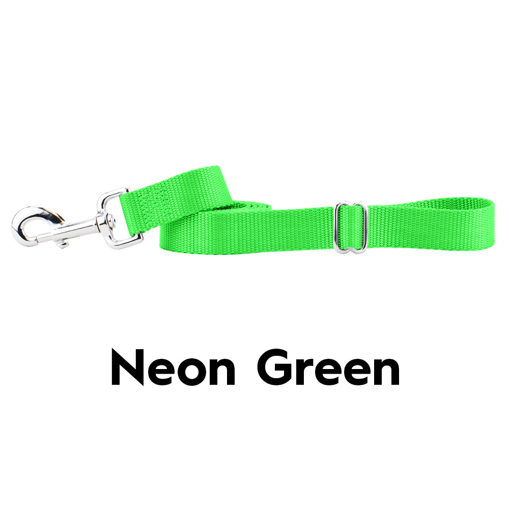 Neon Green Nylon Dog Leash