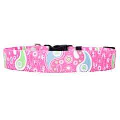 Pastel Paisley Dog Collar
