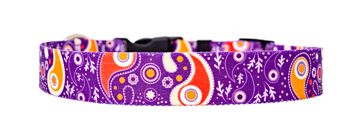 Pastel Retro Paisley Dog Collar