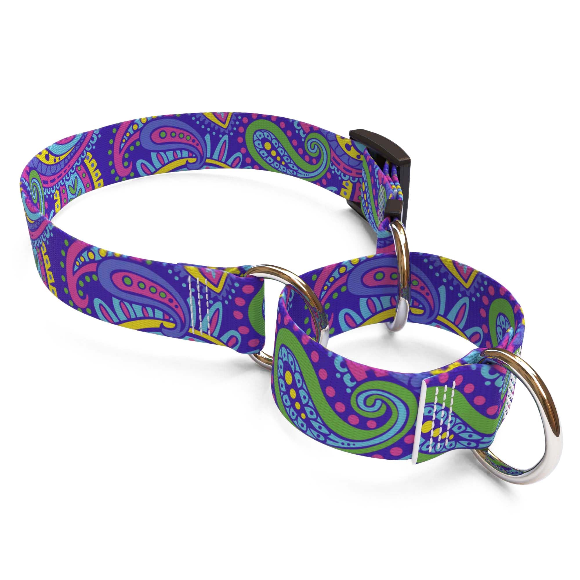 Paisley Power Martingale Dog Collar