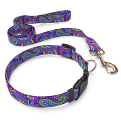 Matching Paisley Power Dog Collar and Leash