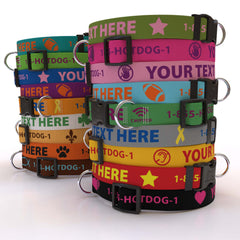 Personalized Solid Colored Collar