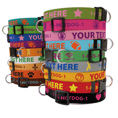 Personalized Solid Colored Side Release Collar