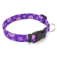 Purple Flowers Dog Collar