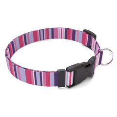 Purple and Pink Stripes Dog Collar