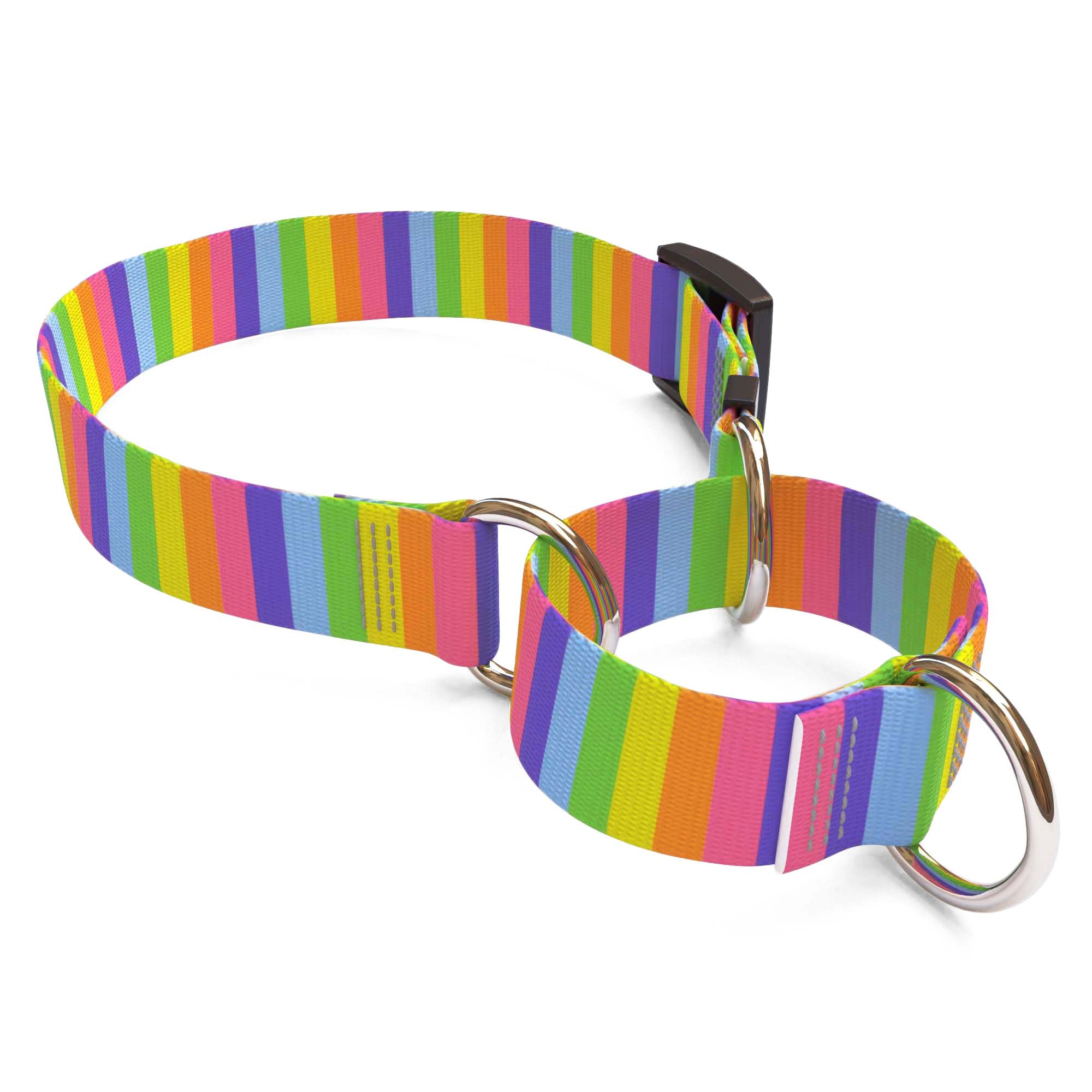 Rainbow Stripes Martingale Dog Collar