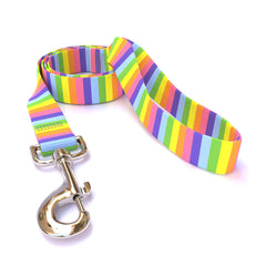 Rainbow Stripes Dog Leash