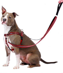 Reflective Red Freedom No-Pull Dog Harness