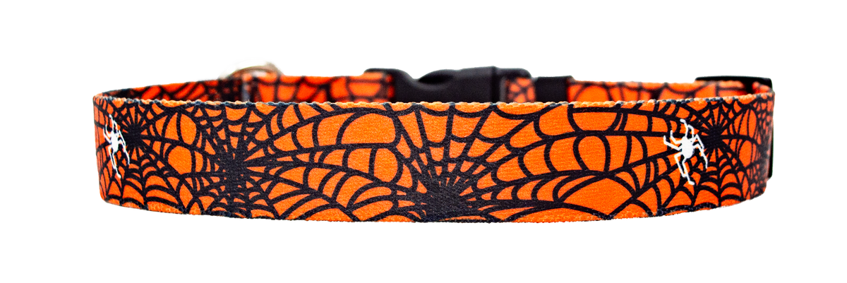 Spider Web Orange Dog Collar