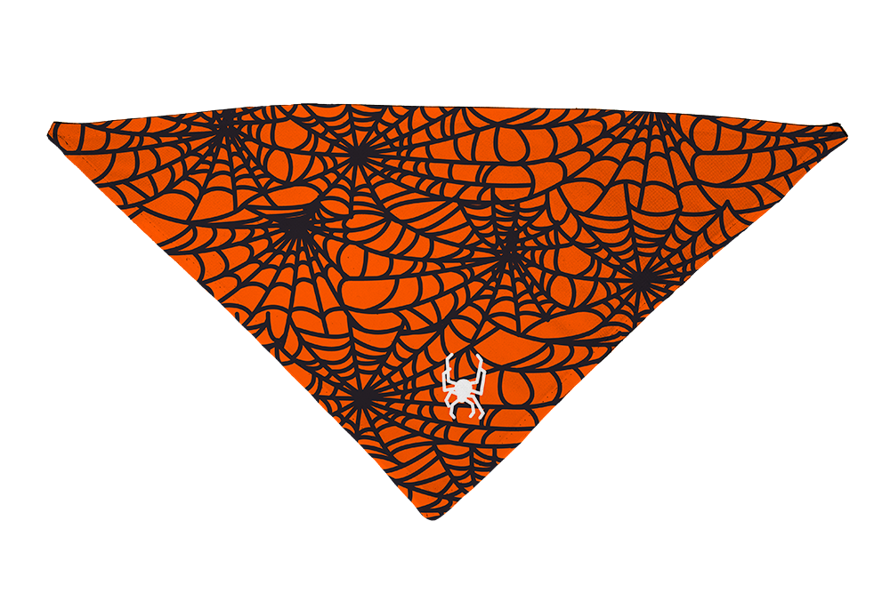 Spider Web Orange Dog Bandana