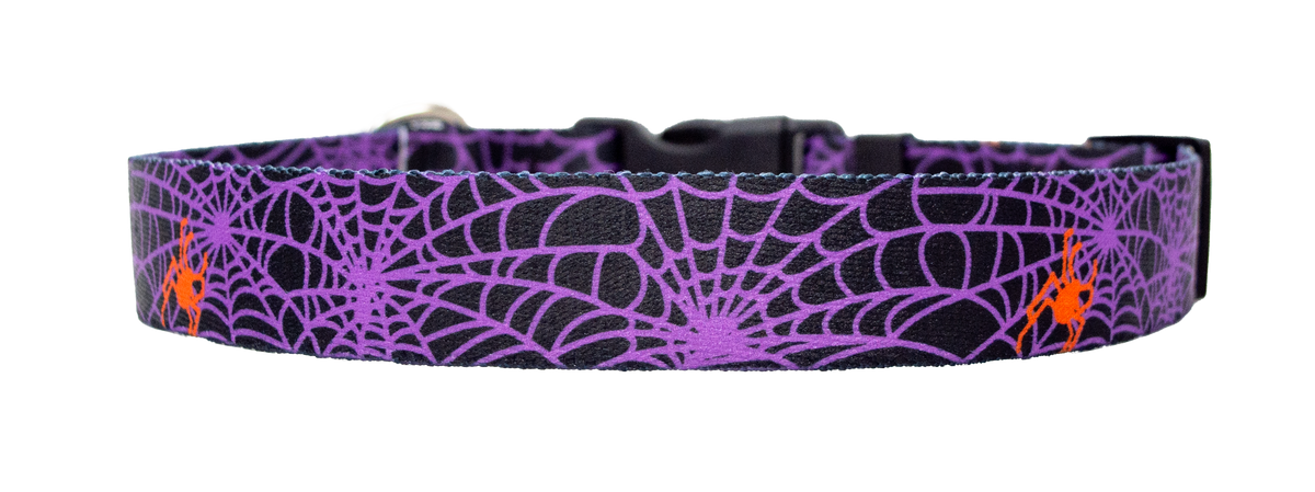 Spider Web Purple Dog Collar