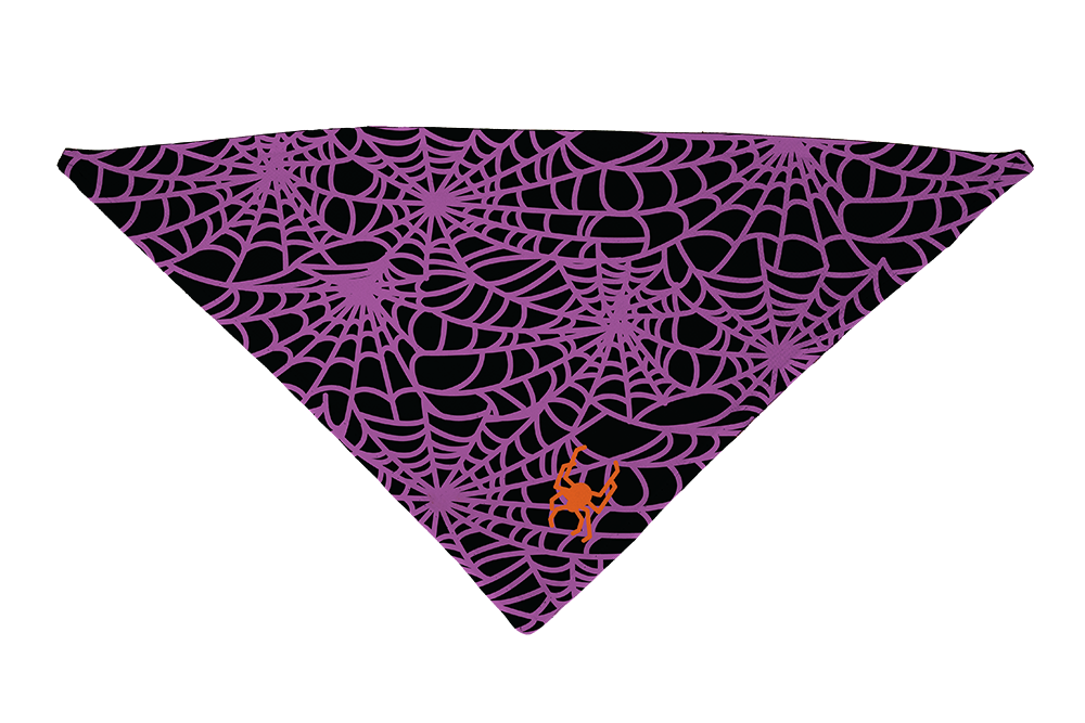 Spider Web Purple Dog Bandana