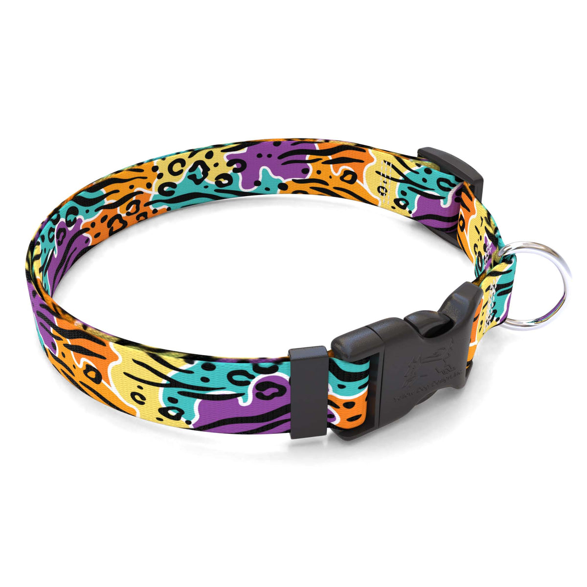 Rainbow Safari Dog Collar