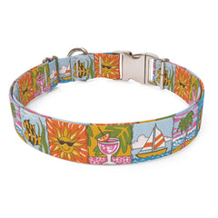 Seaside Sterling Premium Dog Collar