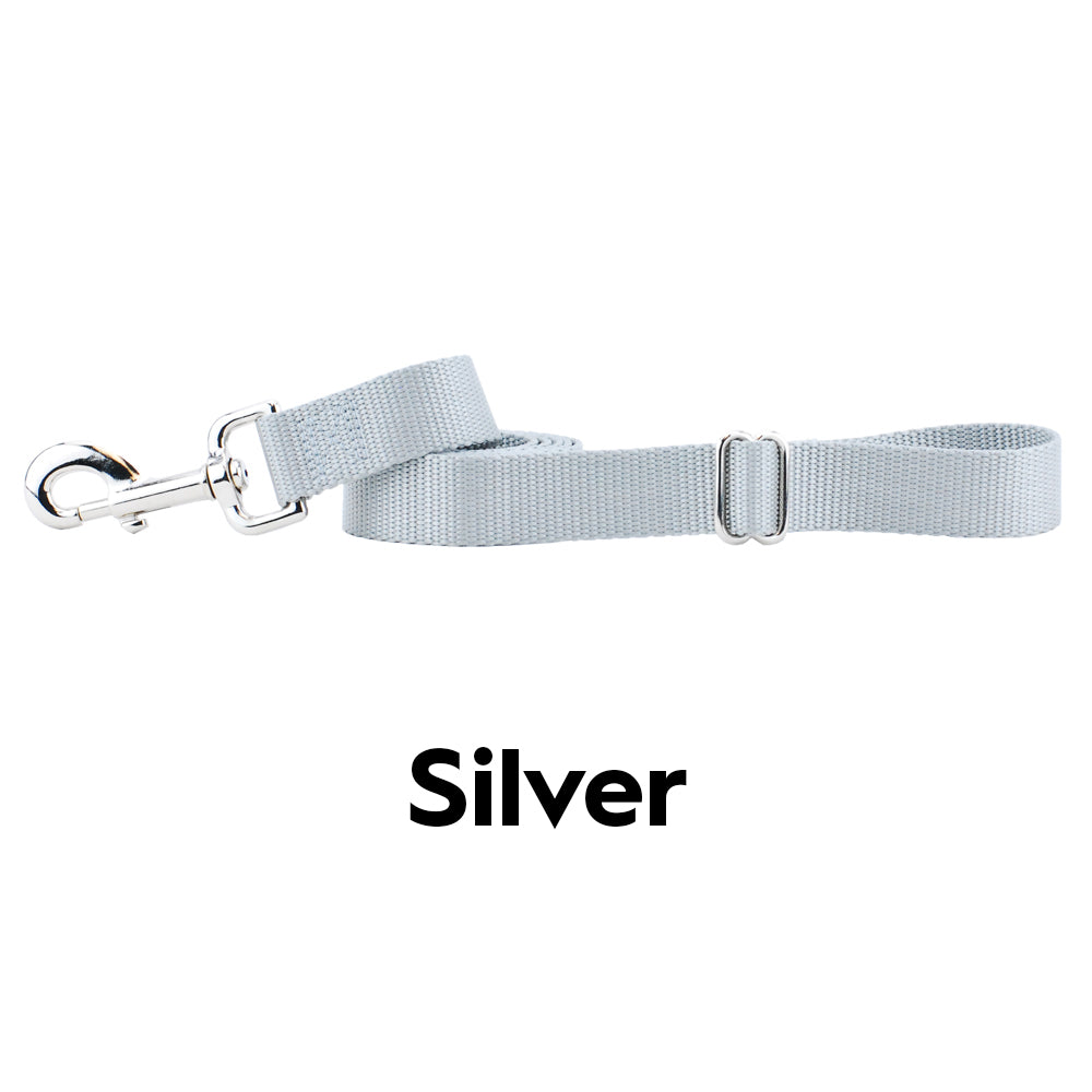 Silver Nylon Dog Leash