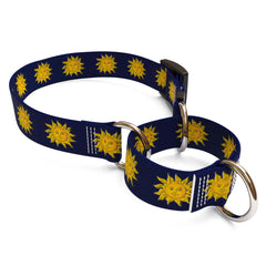 Suns Dog Collar