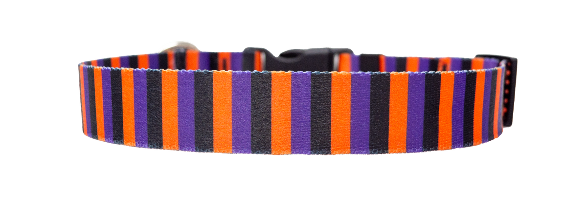 Witchy Stripes Dog Collar