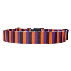Witchy Stripes Dog Collar
