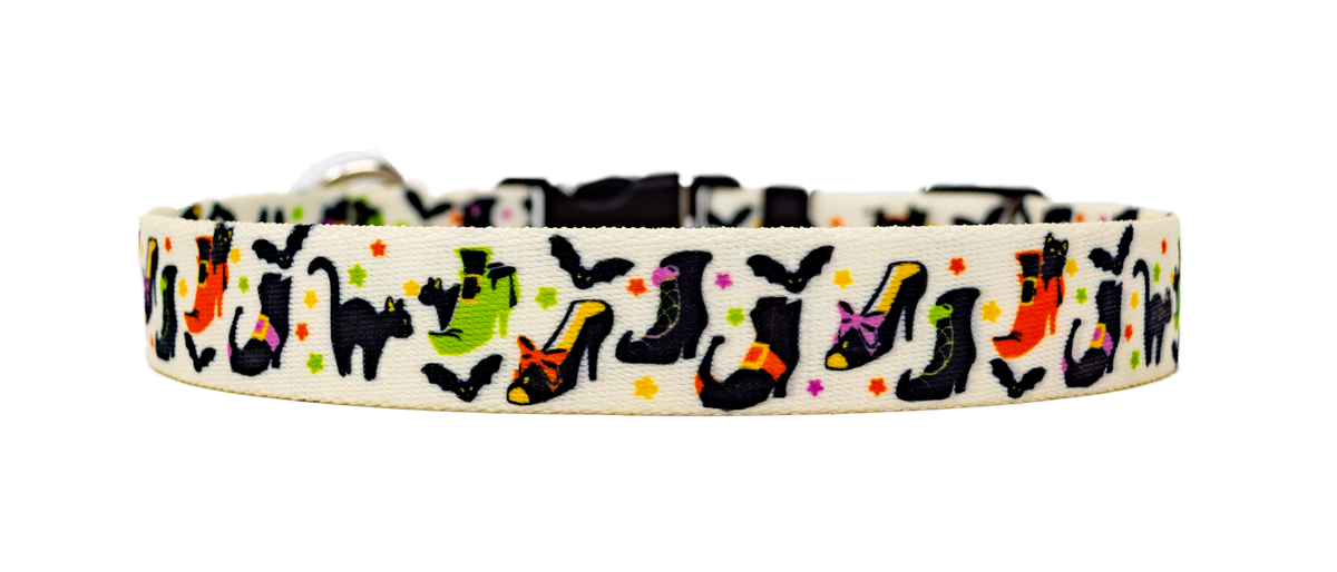 Witch's Shoes Color Dog Collar