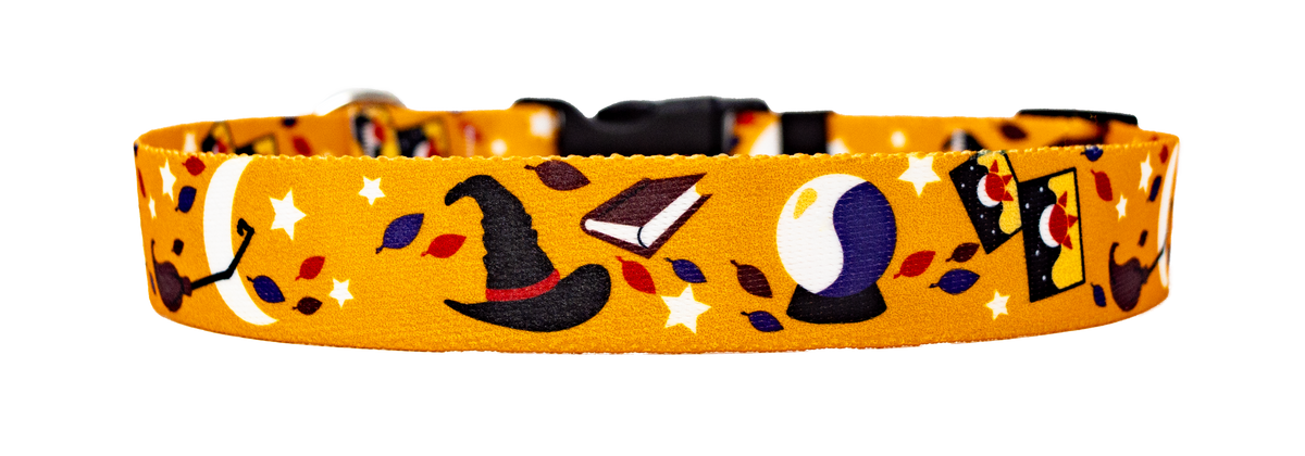 Witchy Ways Dog Collar