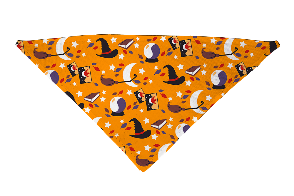 Witchy Ways Dog Bandana