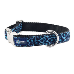 Wild Kitty Blue Velvet Essential Dog Collar
