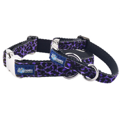 Wild Kitty Purple Velvet Essential Dog Collar