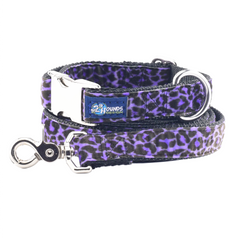Wild Kitty Purple Velvet Essential Dog Collar