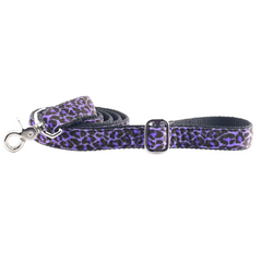 Wild Kitty Purple Velvet Dog Leash