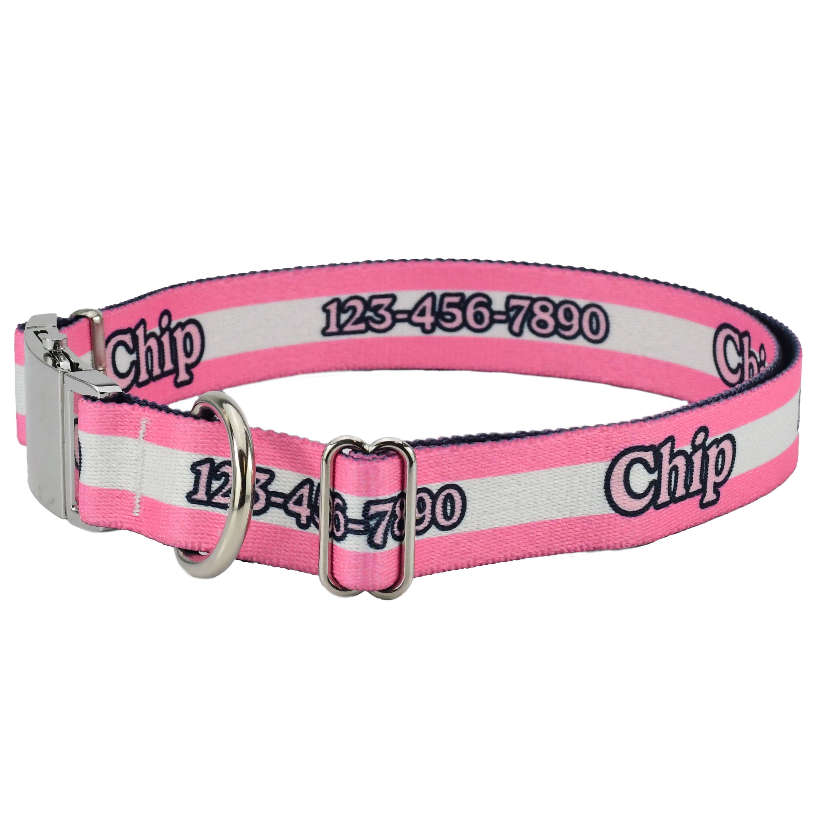 Personalized Mighty Stripes Dog Collar