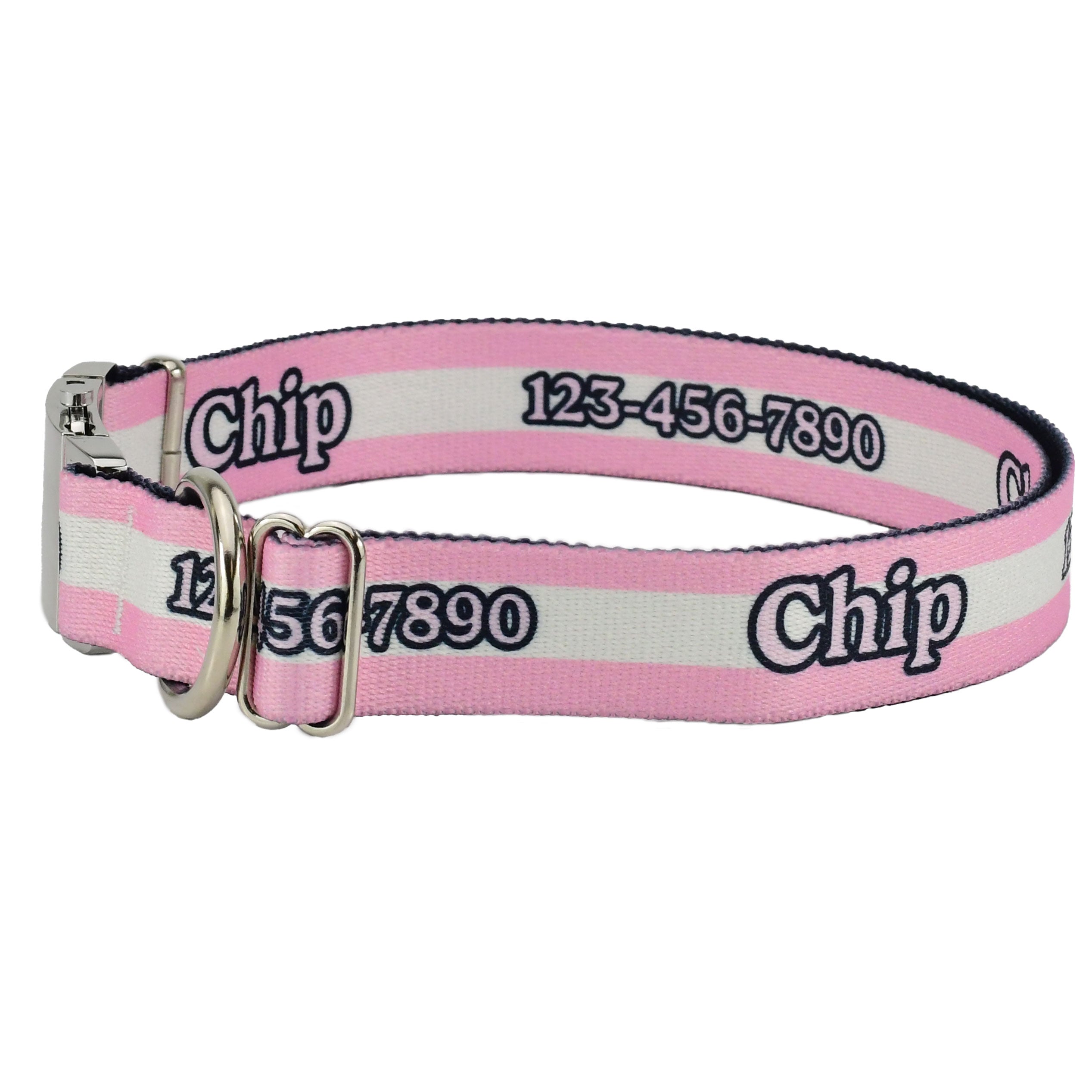 Personalized Mighty Stripes Dog Collar