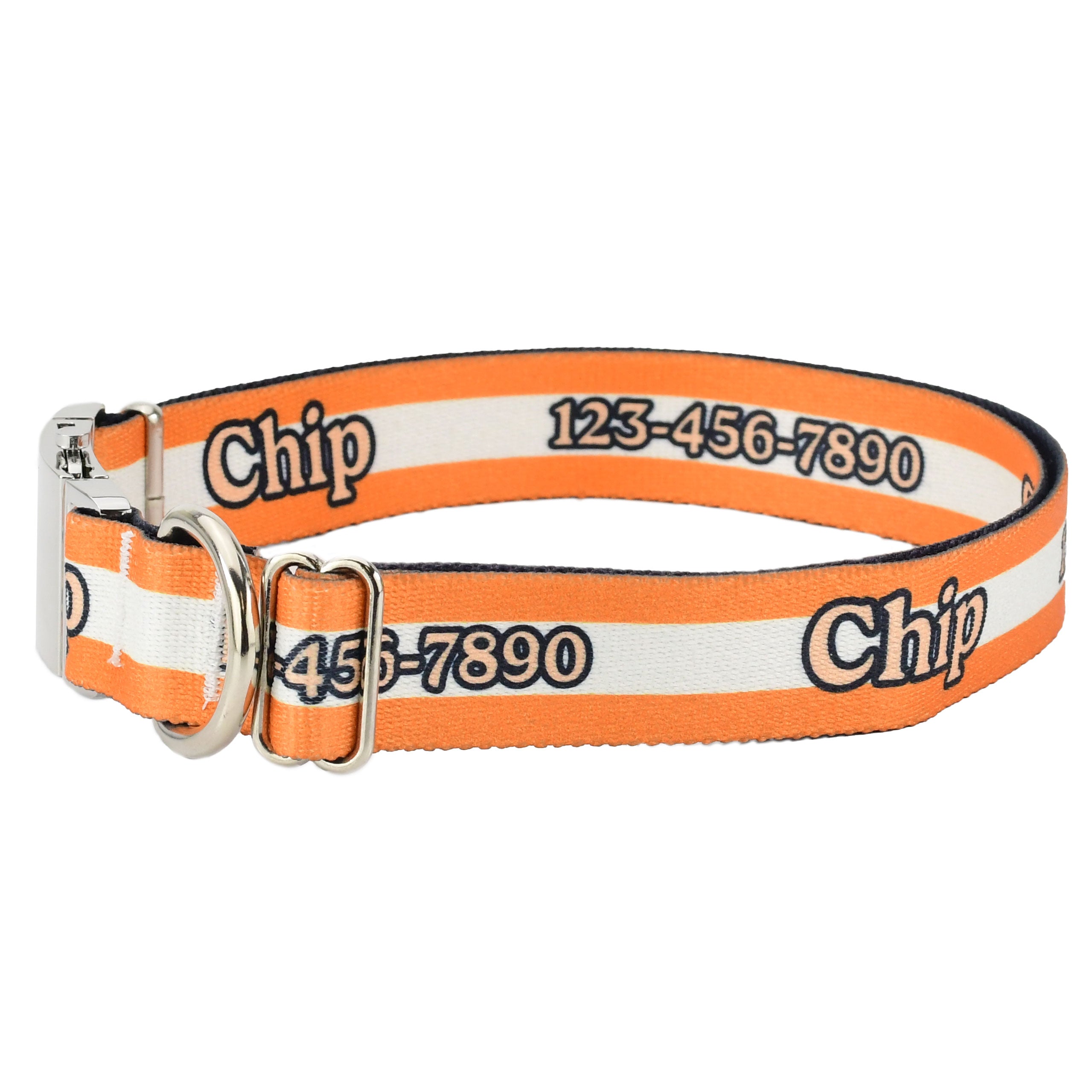 Personalized Mighty Stripes Dog Collar