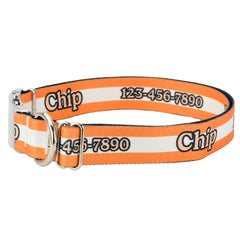 Personalized Orange Mighty Stripes Dog Collar