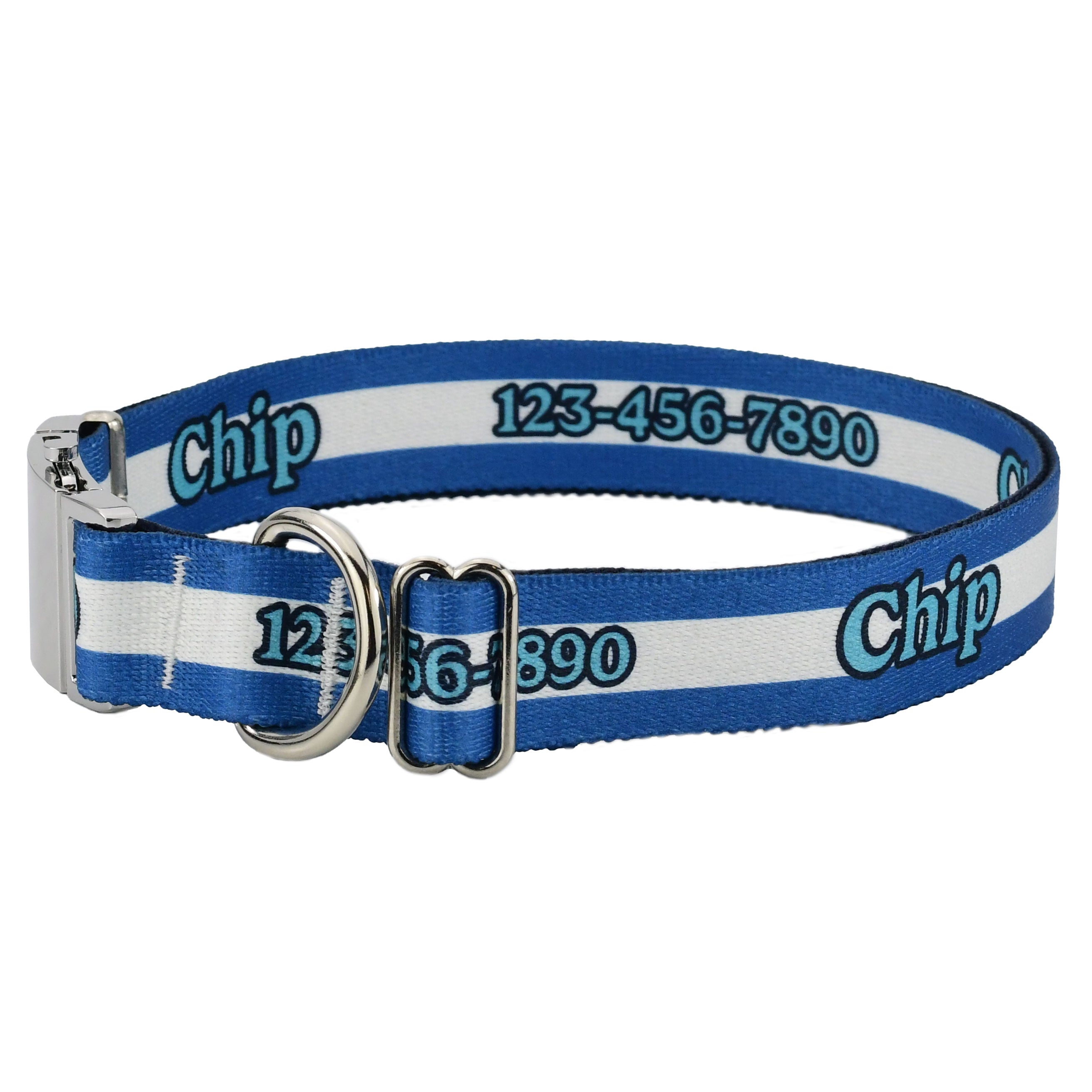 Personalized Mighty Stripes Dog Collar