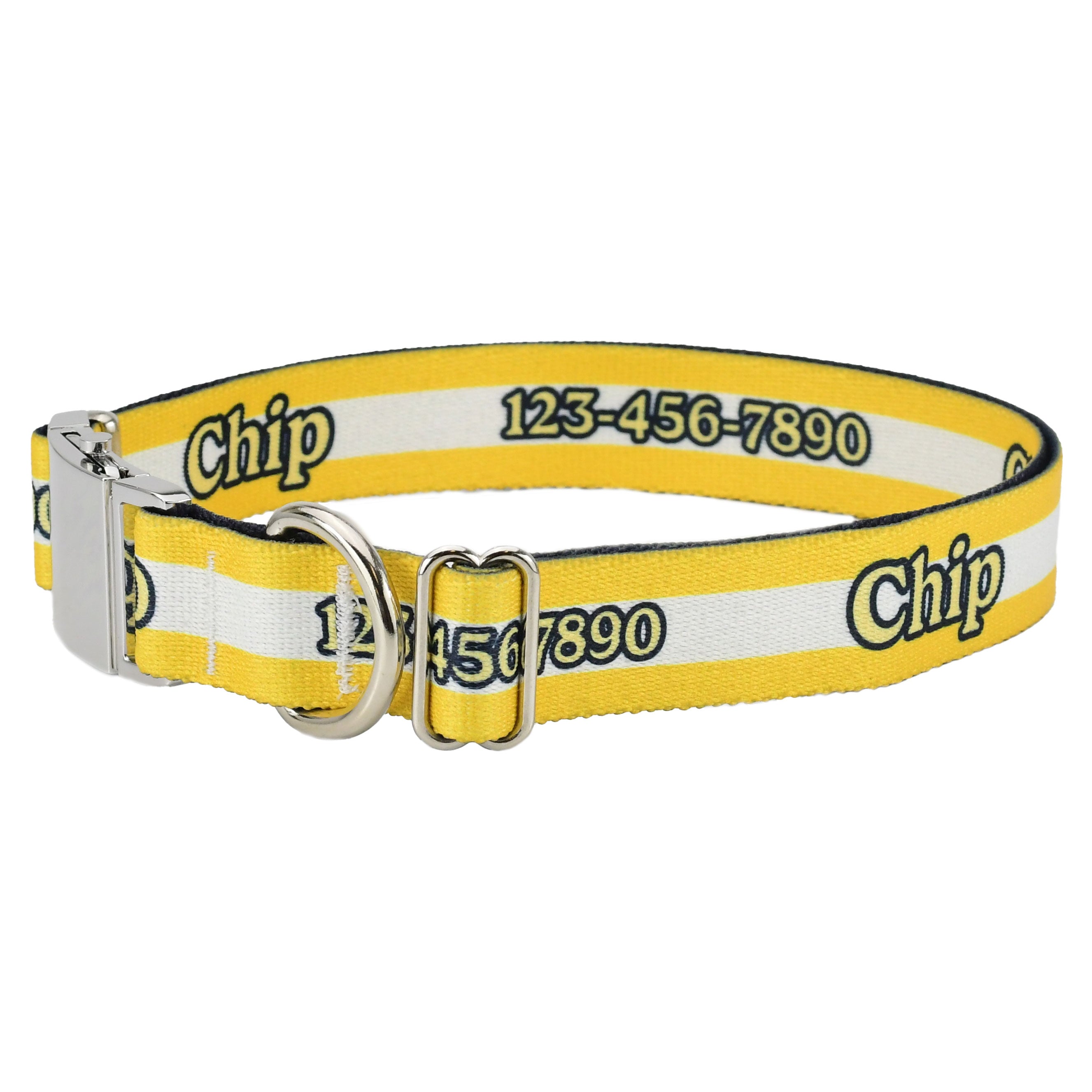 Personalized Mighty Stripes Dog Collar