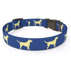 Yellow Lab Dog Collar