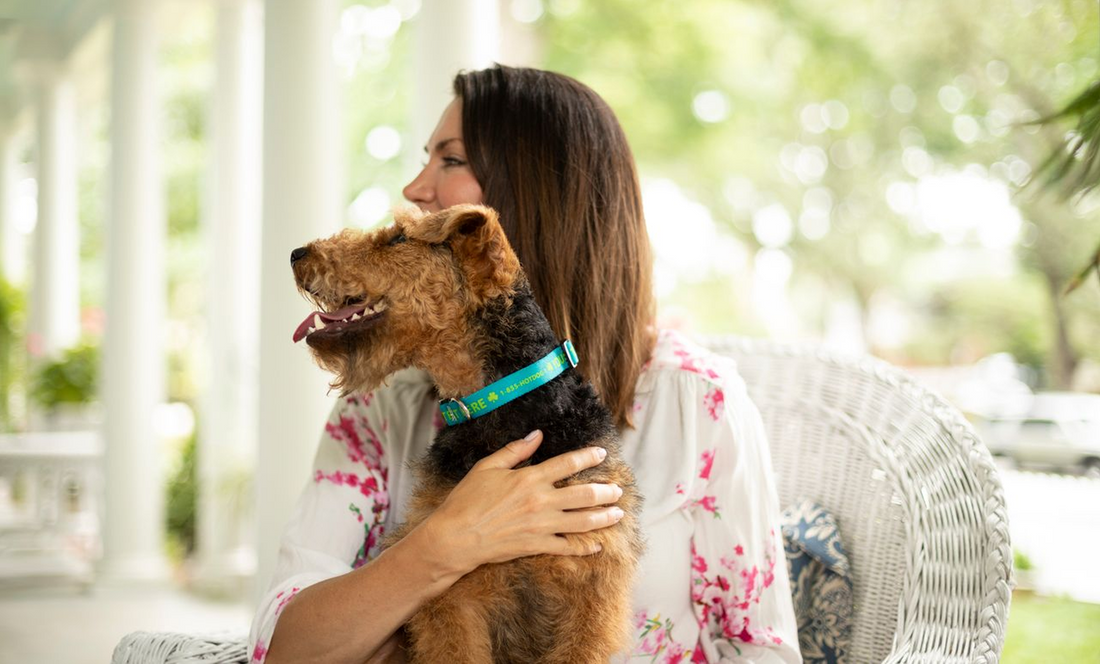 Personalized Dog Collars