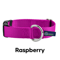 5/8" and 1" Raspberry Nylon Buckle Dog Collar