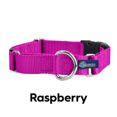 5/8" and 1" Raspberry Nylon Buckle Martingale Dog Collar