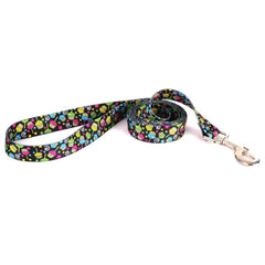 Birthday Cupcakes Dog Leash